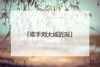 歌手刘大成近况