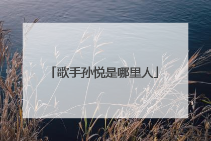 歌手孙悦是哪里人