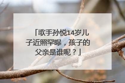 歌手孙悦14岁儿子近照罕曝,孩子的父亲是谁呢?