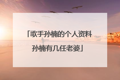 歌手孙楠的个人资料 孙楠有几任老婆