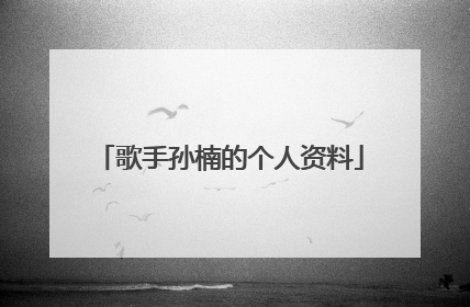 歌手孙楠的个人资料