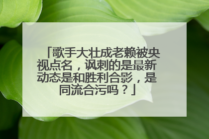 歌手大壮成老赖被央视点名，讽刺的是最新动态是和胜利合影，是同流合污吗？