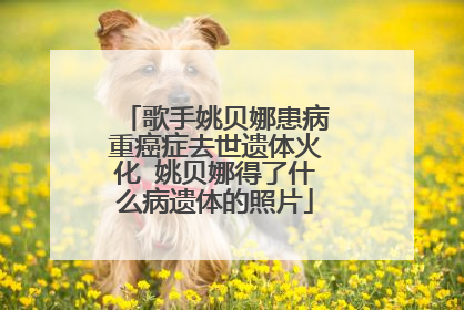 歌手姚贝娜患病重癌症去世遗体火化 姚贝娜得了什么病遗体的照片