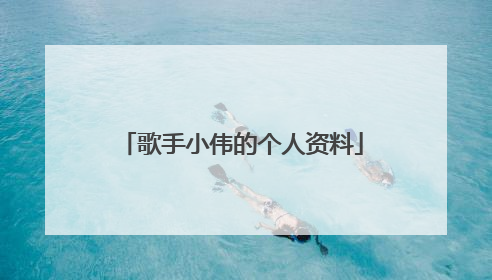 歌手小伟的个人资料