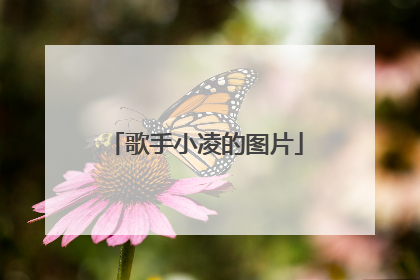 歌手小凌的图片