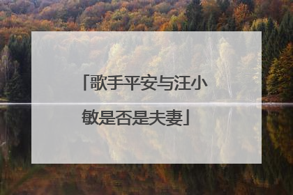 歌手平安与汪小敏是否是夫妻