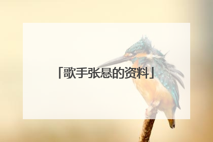 歌手张悬的资料