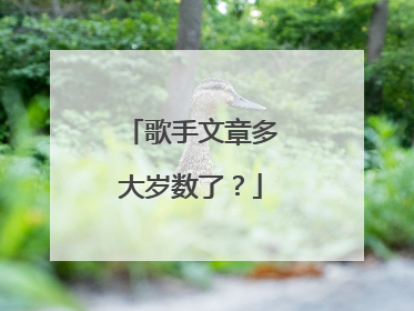 歌手文章多大岁数了？