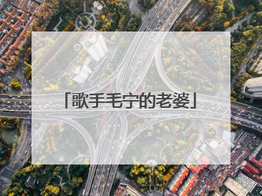 歌手毛宁的老婆