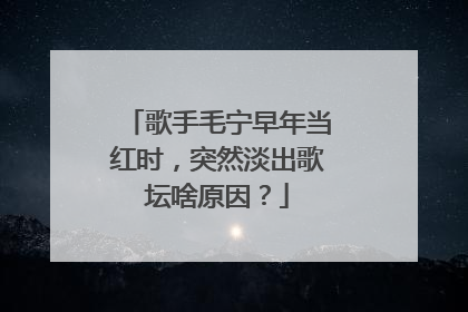 歌手毛宁早年当红时,突然淡出歌坛啥原因?