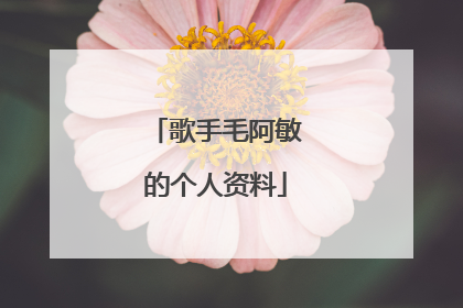 歌手毛阿敏的个人资料