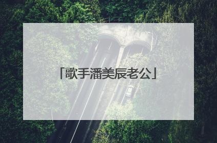 歌手潘美辰老公