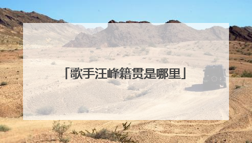 歌手汪峰籍贯是哪里