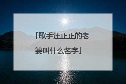歌手汪正正的老婆叫什么名字