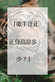 歌手汪正正身高是多少?