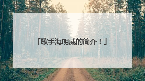 歌手海明威的简介！