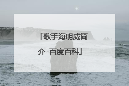 歌手海明威简介 百度百科