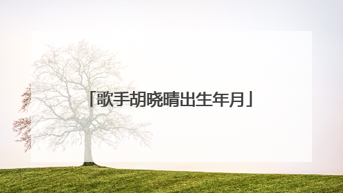 歌手胡晓晴出生年月