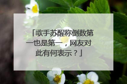 歌手苏醒称倒数第一也是第一,网友对此有何表示?