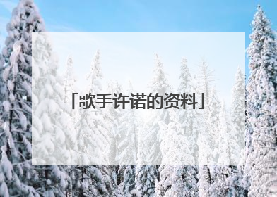 歌手许诺的资料