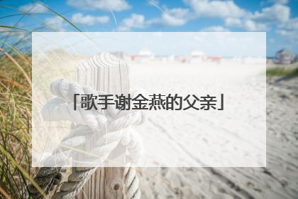 歌手谢金燕的父亲