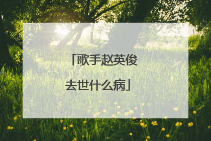 歌手赵英俊去世什么病