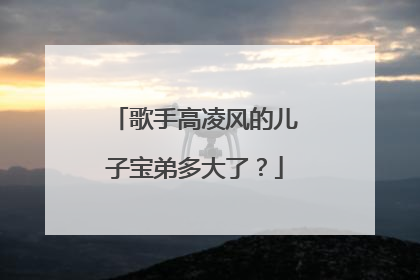 歌手高凌风的儿子宝弟多大了?