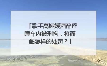歌手高娅媛酒醉昏睡车内被刑拘，将面临怎样的处罚？