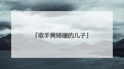 歌手黄绮珊的儿子