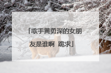 歌手黄勇深的女朋友是谁啊 跪求