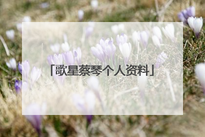 歌星蔡琴个人资料