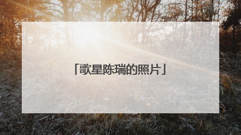 歌星陈瑞的照片