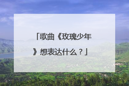 歌曲《玫瑰少年》想表达什么？