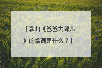 歌曲《爸爸去哪儿》的歌词是什么？
