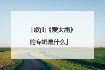歌曲《爱太痛》的专辑是什么