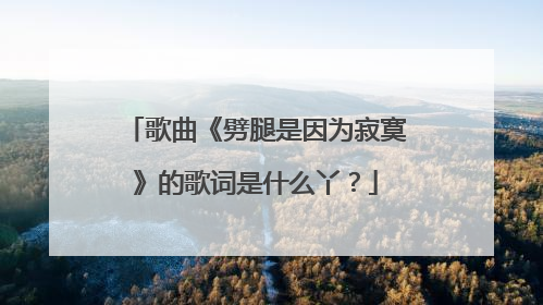 歌曲《劈腿是因为寂寞》的歌词是什么丫？