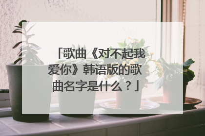 歌曲《对不起我爱你》韩语版的歌曲名字是什么?