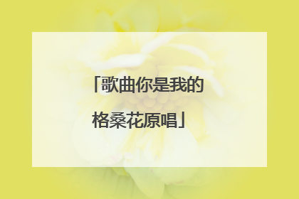 歌曲你是我的格桑花原唱