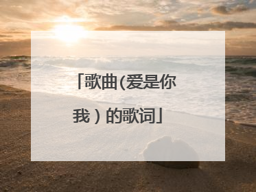 歌曲(爱是你我）的歌词