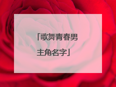 歌舞青春男主角名字