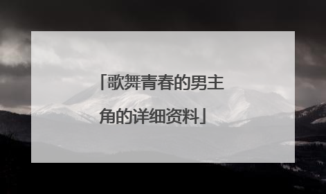 歌舞青春的男主角的详细资料