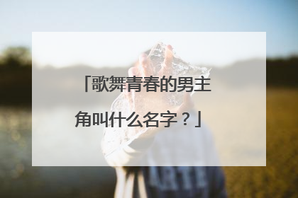 歌舞青春的男主角叫什么名字？