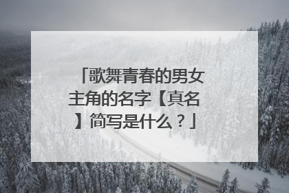 歌舞青春的男女主角的名字【真名】简写是什么？