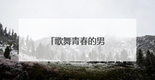 歌舞青春的男女主角的资料