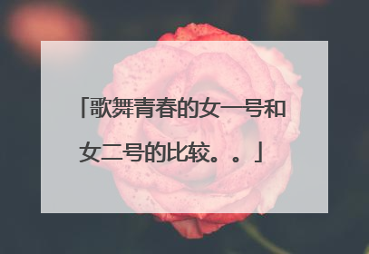 歌舞青春的女一号和女二号的比较。。