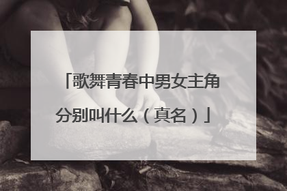 歌舞青春中男女主角分别叫什么（真名）