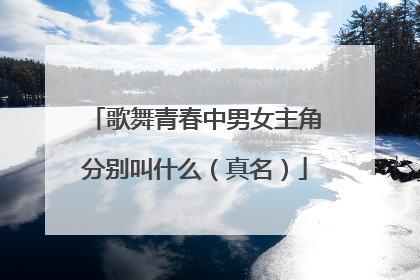 歌舞青春中男女主角分别叫什么（真名）