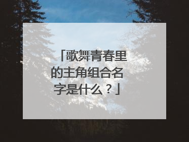 歌舞青春里的主角组合名字是什么？
