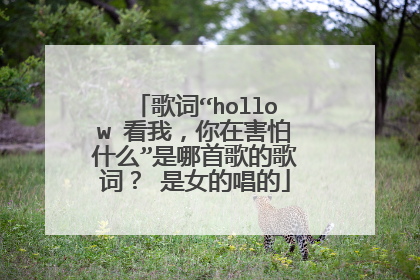 歌词“hollow 看我，你在害怕什么”是哪首歌的歌词？ 是女的唱的