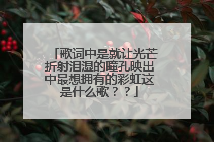 歌词中是就让光芒折射泪湿的瞳孔映出中最想拥有的彩虹这是什么歌??